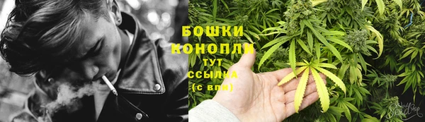 ешки Грязи