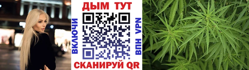 Шишки марихуана марихуана  Голицыно 